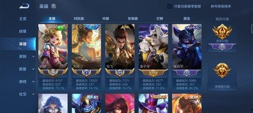 大乔至尊皮肤爆料视频,揭秘游戏界新宠  第3张