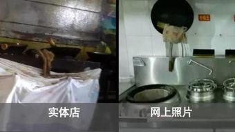 爆料黑心火腿肠视频播放,视频曝光食品安全问题  第2张