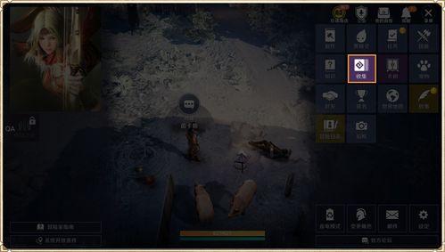 黑仔传奇在线观看,在线观看，揭秘传奇人生