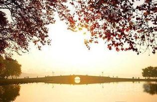 断桥爆料技巧视频大全,揭秘高效信息获取秘籍  第2张